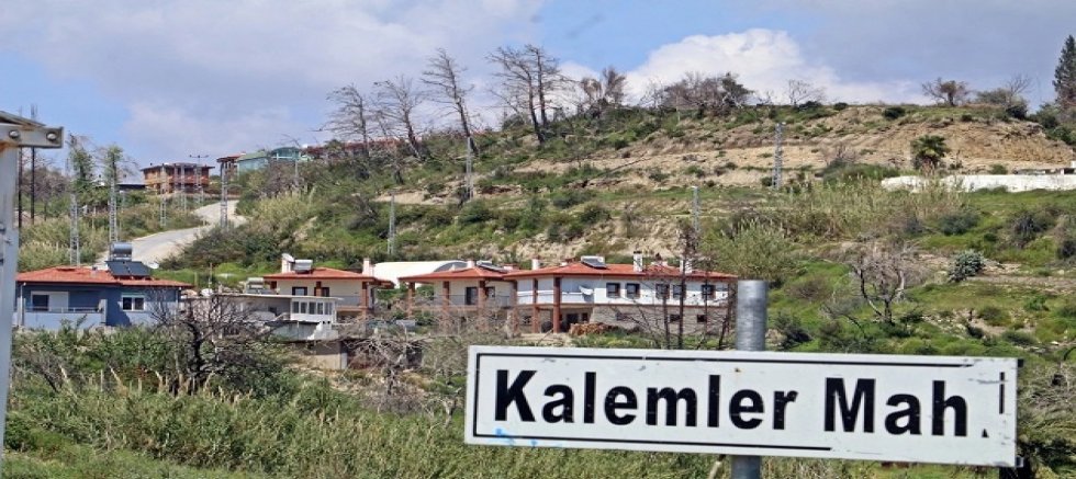MANAVGAT ORMAN YANGININDAN GEÇEN 5 YILDA DEVLET YARALARI SARDI !
