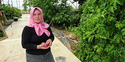 Çatıda Başlayan Hayal Manavgat'ta Tropikal Müze Oldu