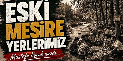 ESKİ MESİRE YERLERİMİZ (1)