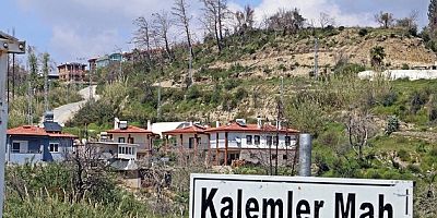 MANAVGAT ORMAN YANGININDAN GEÇEN 5 YILDA DEVLET YARALARI SARDI !