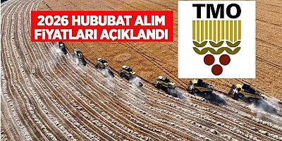 TMO 2026 Hububat Alım Fiyatlarını Açıkladı